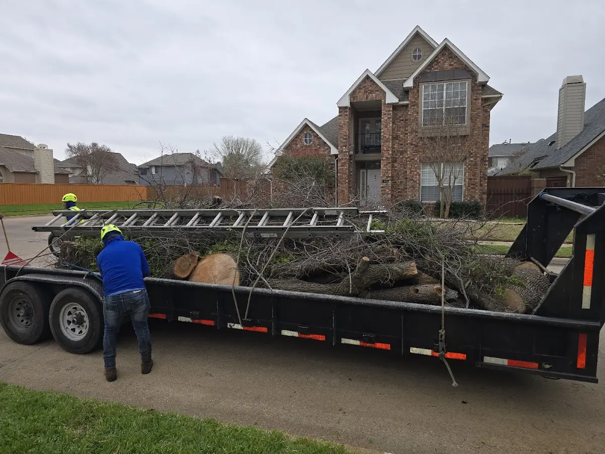 Expert Lot Clearing with proper safety equipment in Colstrip